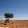 Hammada LIBYAN ARAB JAMAHIRIYA 