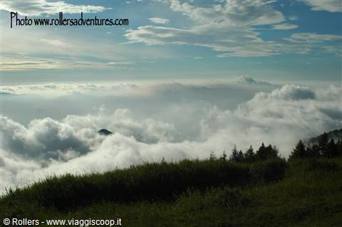 Paesaggi
