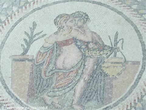 i mosaici