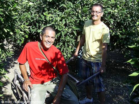 nel frutteto di giovanni