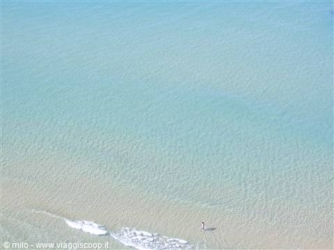 solitario in spiaggia