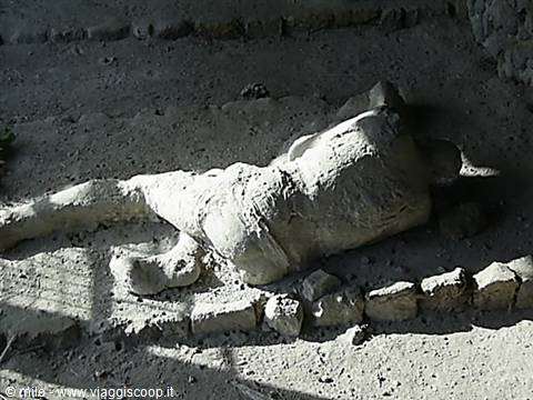 pompei, calco