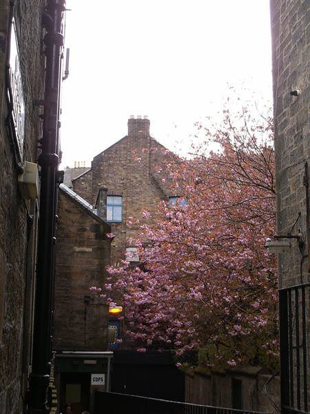 scorcio edimburgo