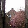 scorcio edimburgo REGNO UNITO 