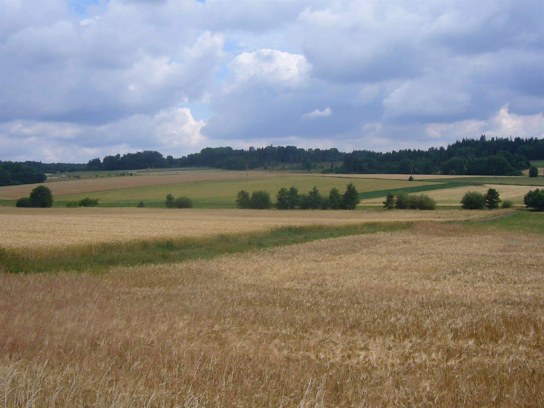 PAESAGGIO VERSO LAUTERBACH