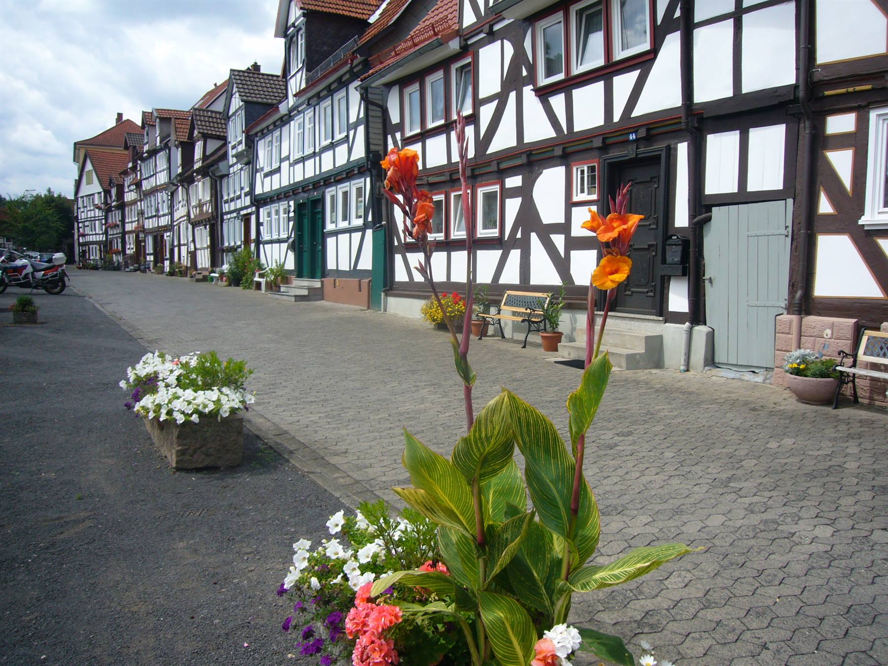LAUTERBACH