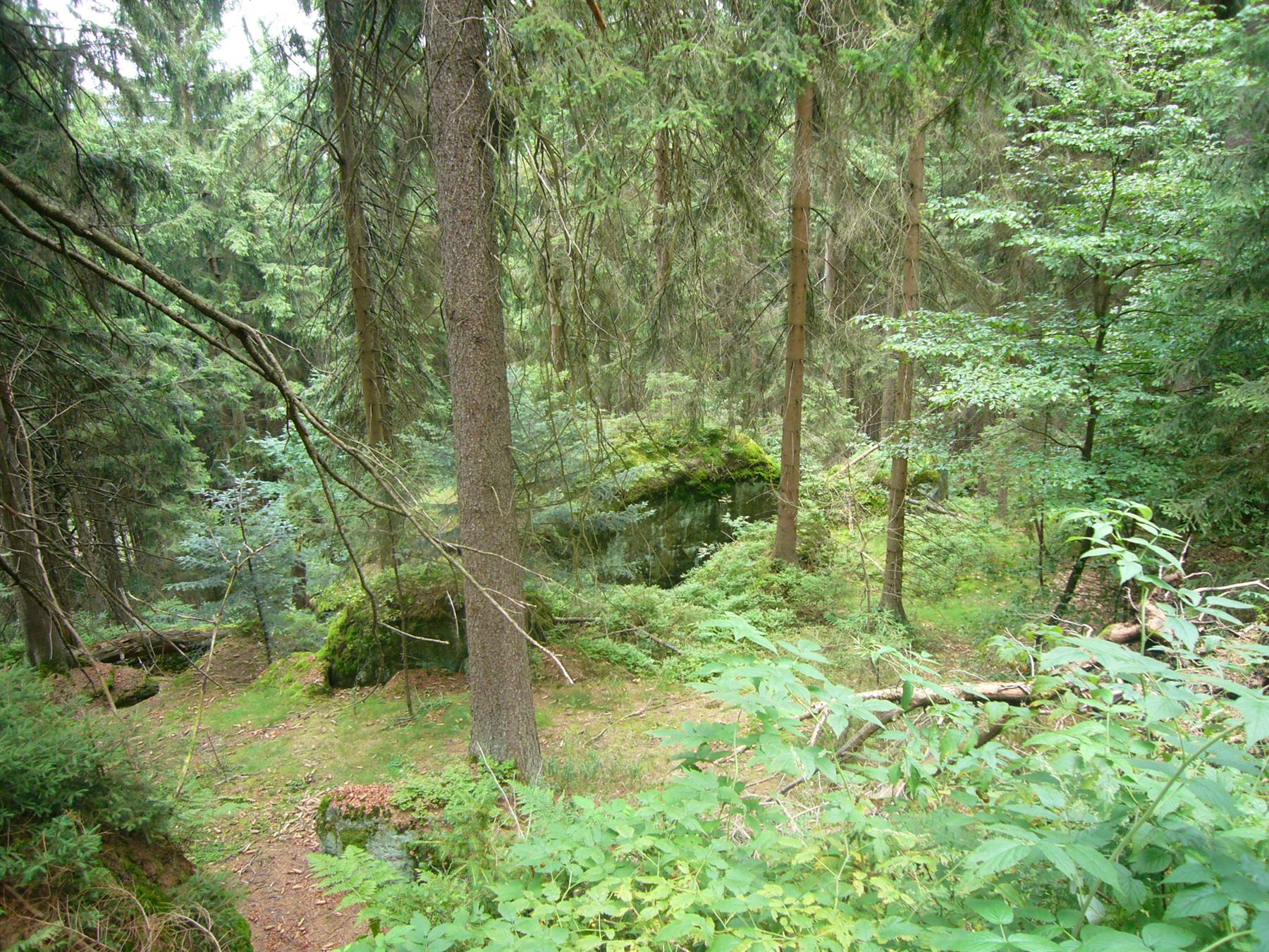 FELSEN LABYRINT