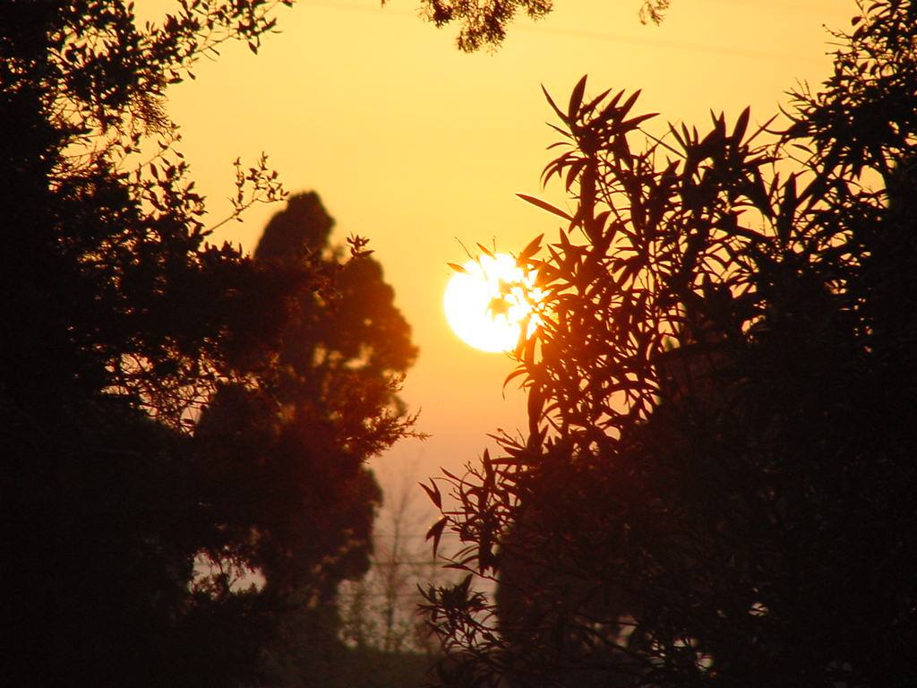 TRAMONTO A SAN GUIDO