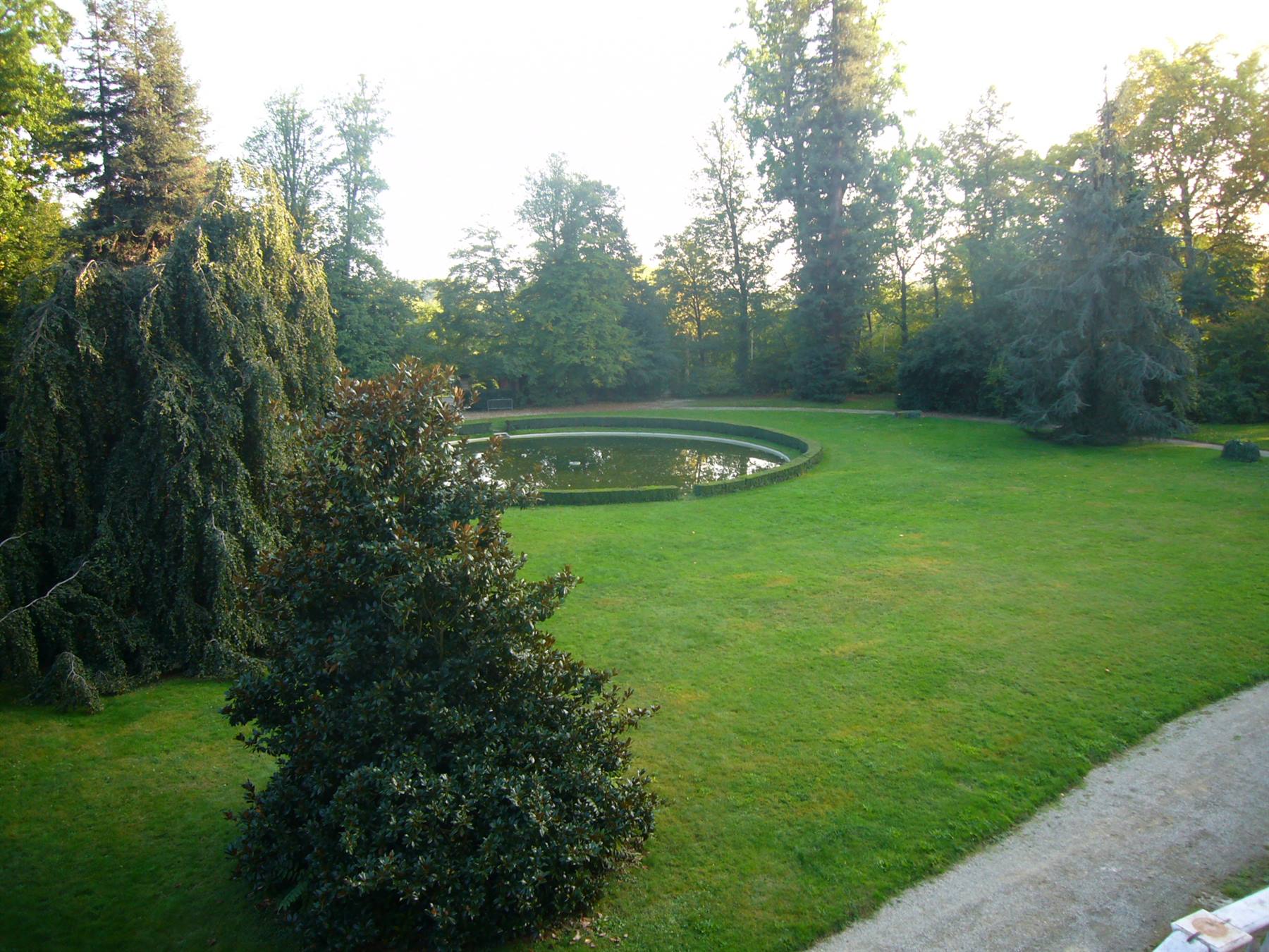 Specchio d'acqua circolare in prato verde, circondato da alberi al mattino