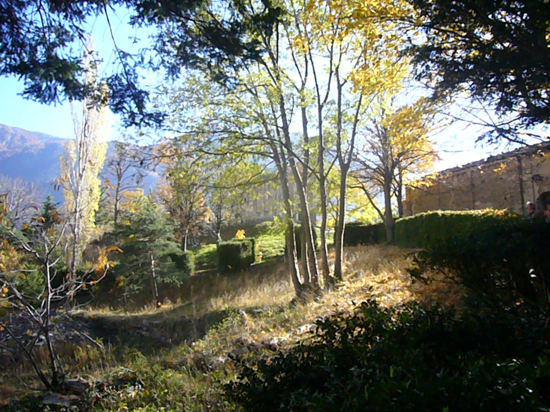 Alberi autunnali in sole, siepi e muro in pietra sotto monti