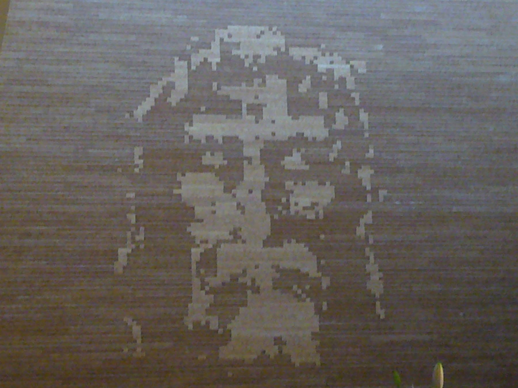 Foto di viaggio in ITALIA