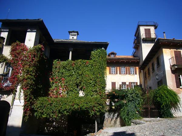 ORTA - CASE