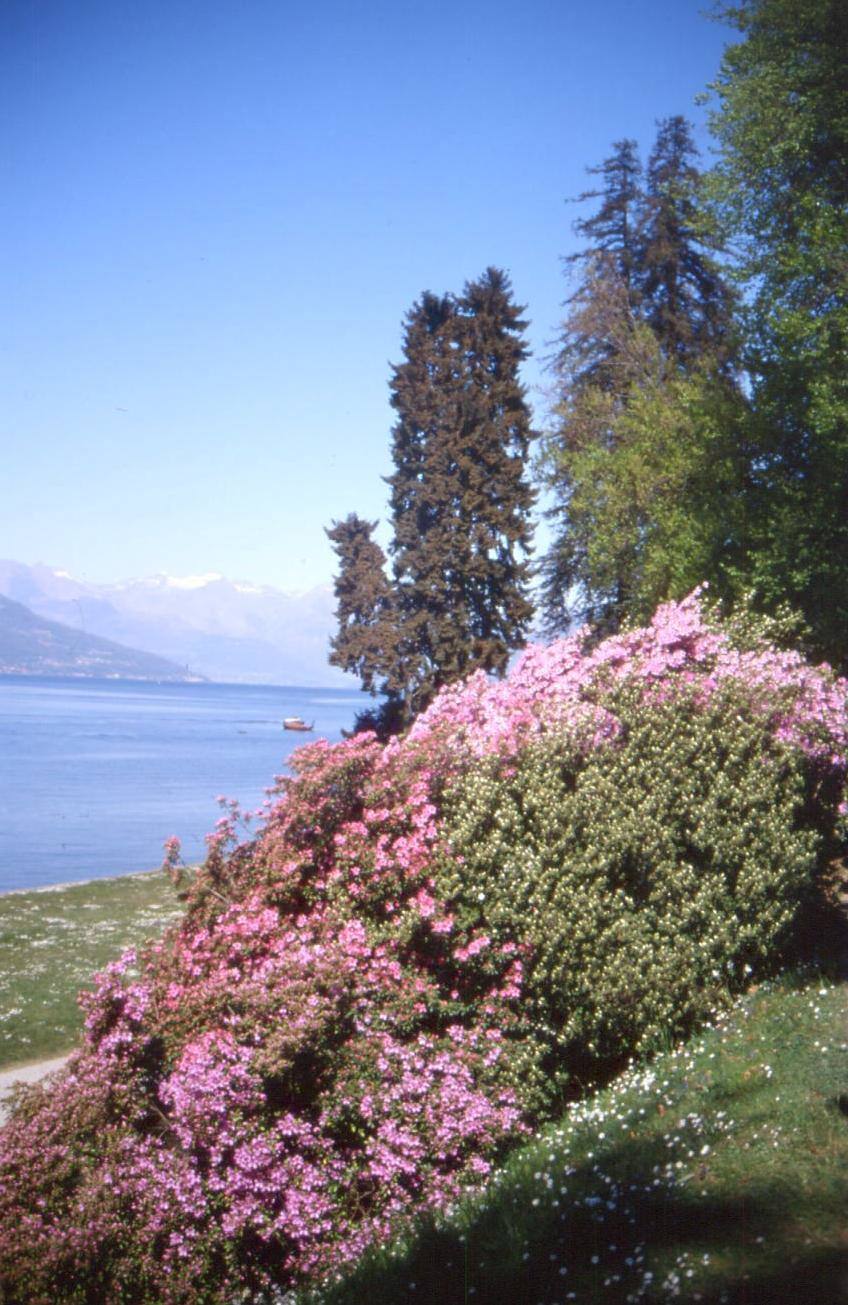 BELLAGIO VILLA MELZI