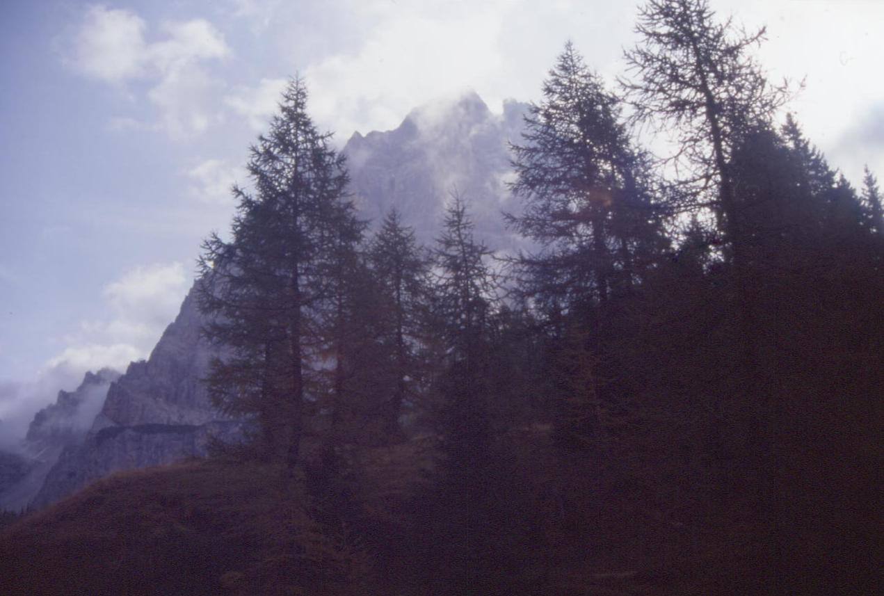 VALLE ZONDANA