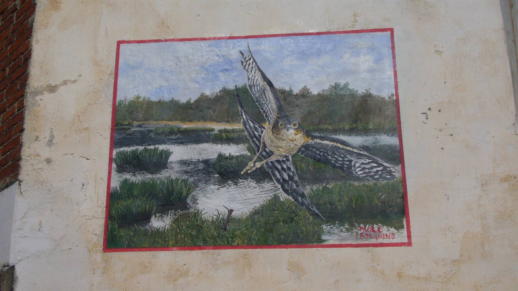 Murale su muro intonacato: rapace in volo sopra palude dipinta