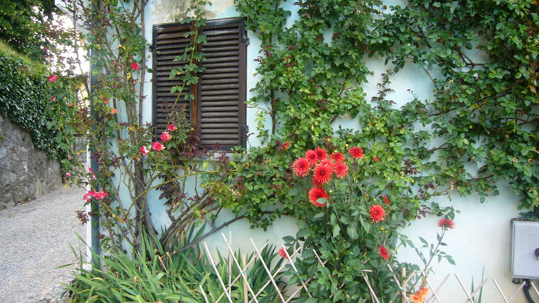 Foto di viaggio in ITALIA