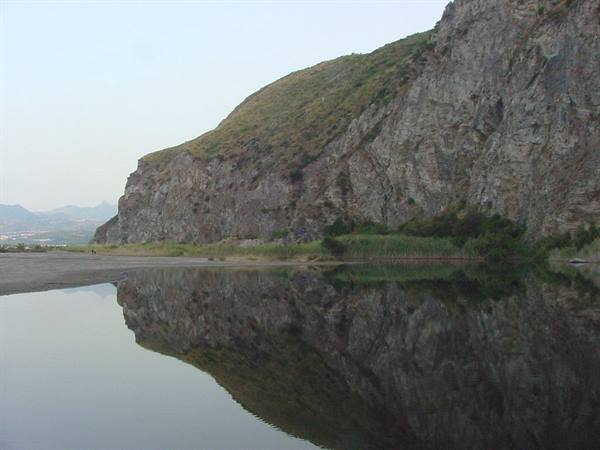 OLIVERI
