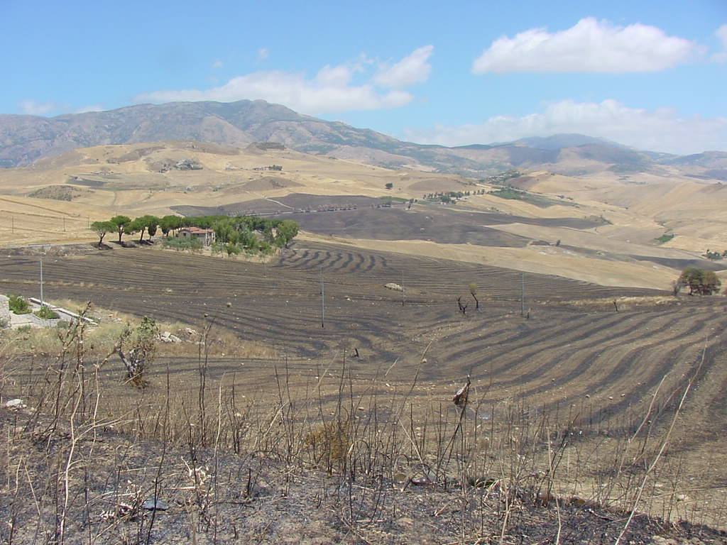 VERSO PETRALIA SOPRANA