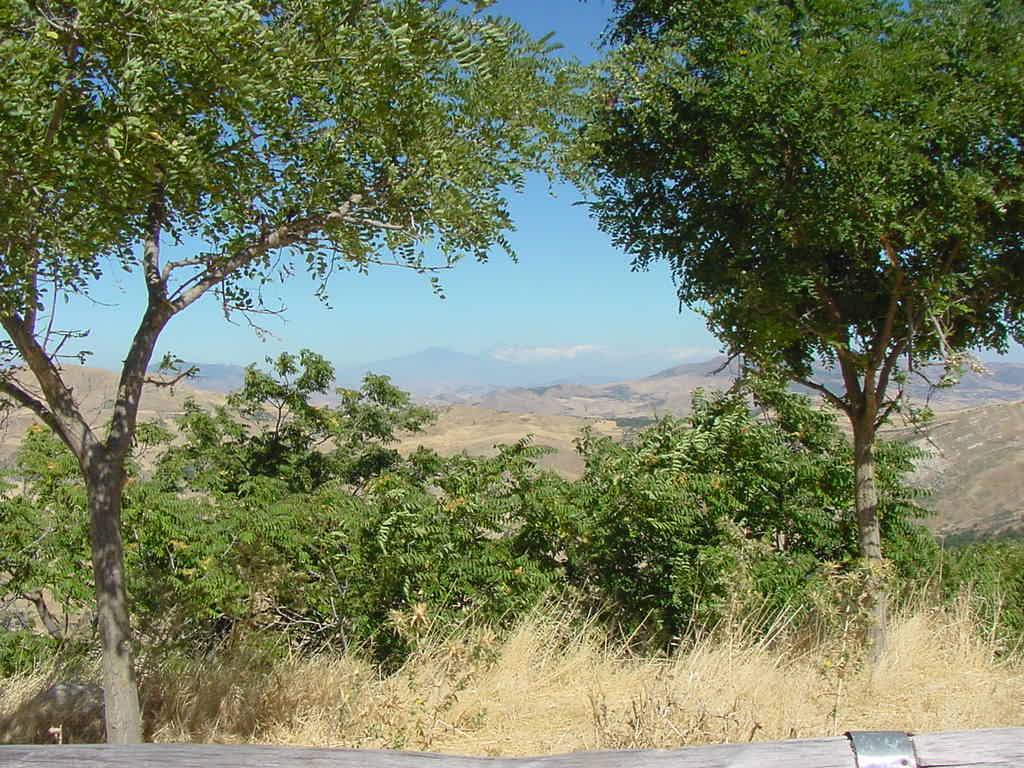 L'ETNA DA PETRALIA SOPRANA