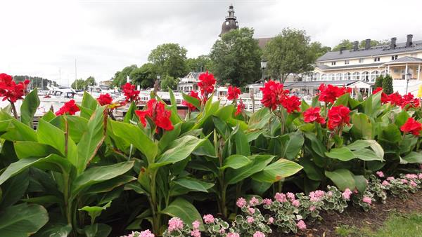 NAANTALI