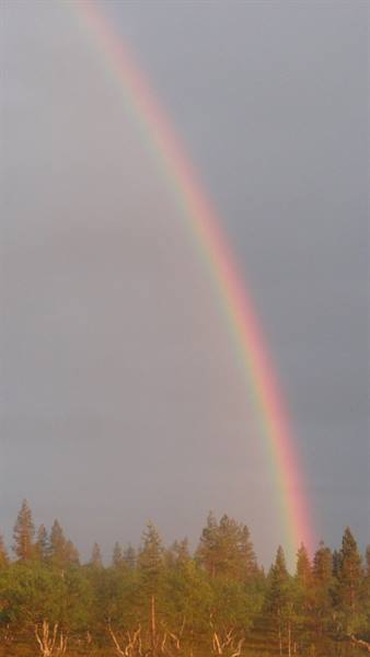 ARCOBALENO DI MEZZANOTTE