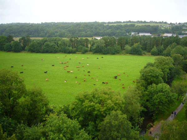 BLARNEY