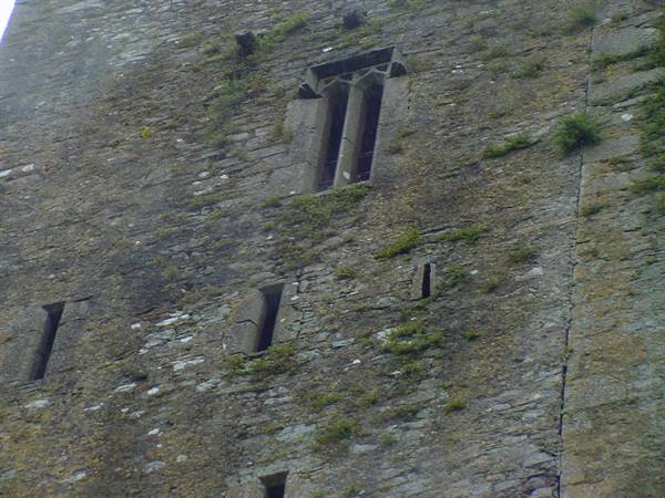 CORK