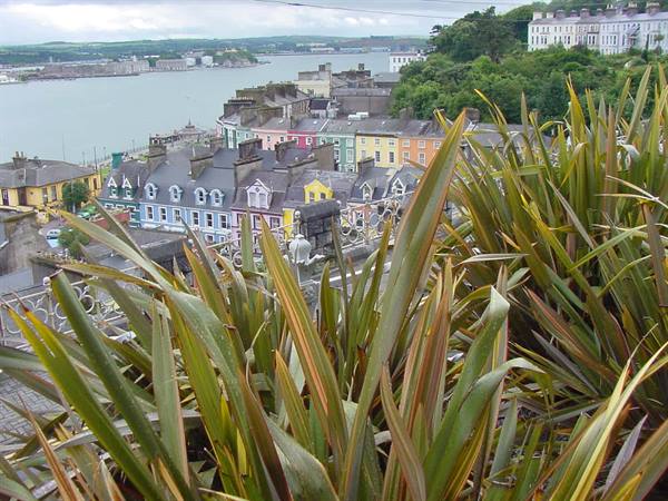 COBH