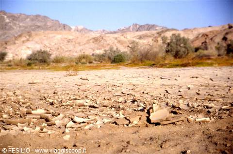 LA "CROSTA TERRESTRE"