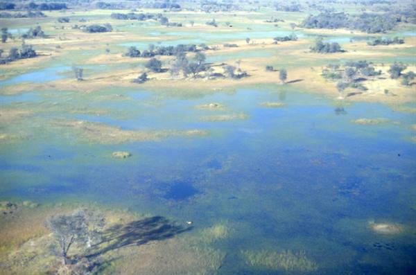 DELTA DELLOKAVANGO
