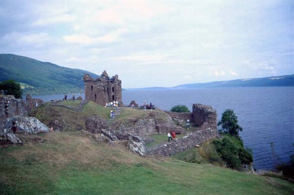 LOC NESS