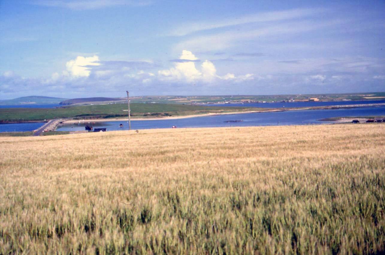 ISOLE ORCADI - SOUTH RONALDSEY