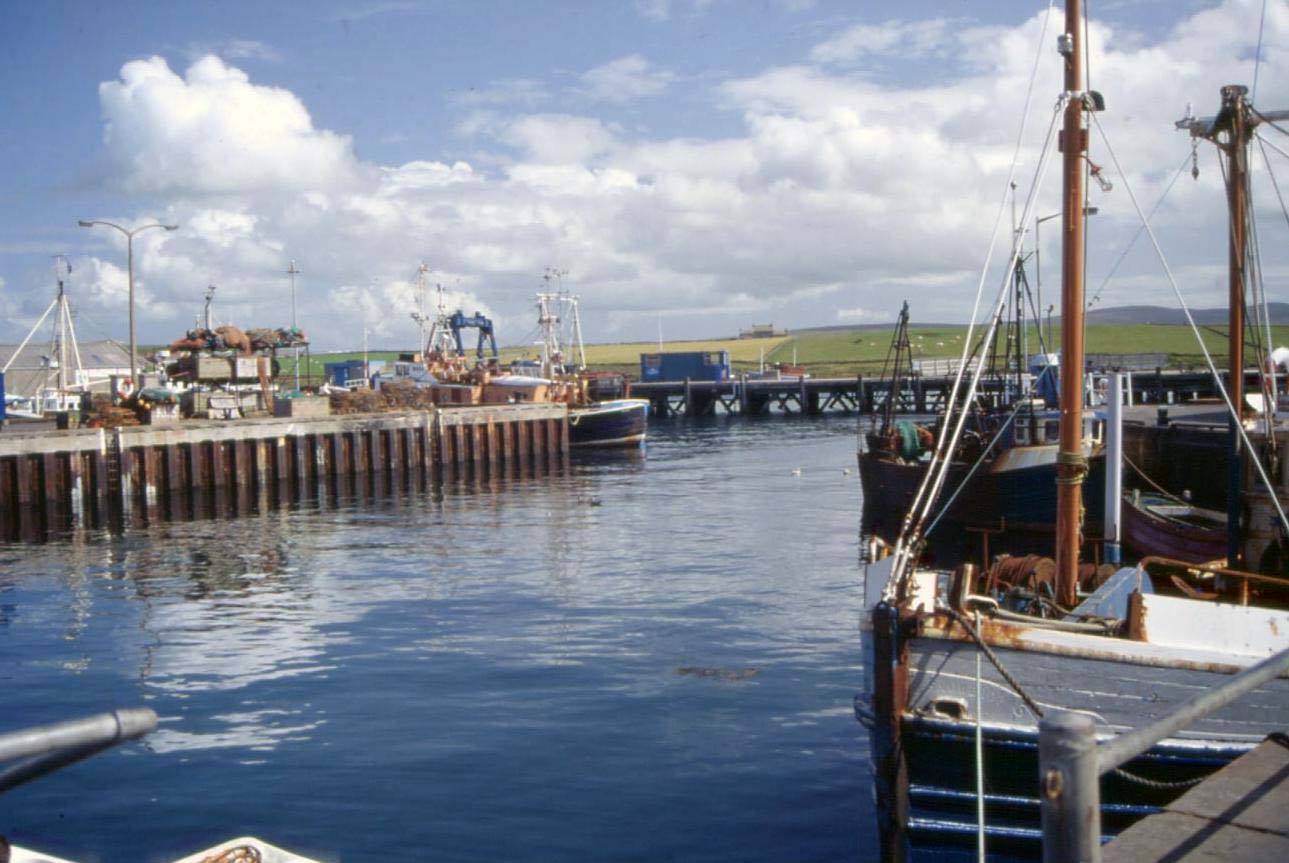 MEINLAND - IL PORTO
