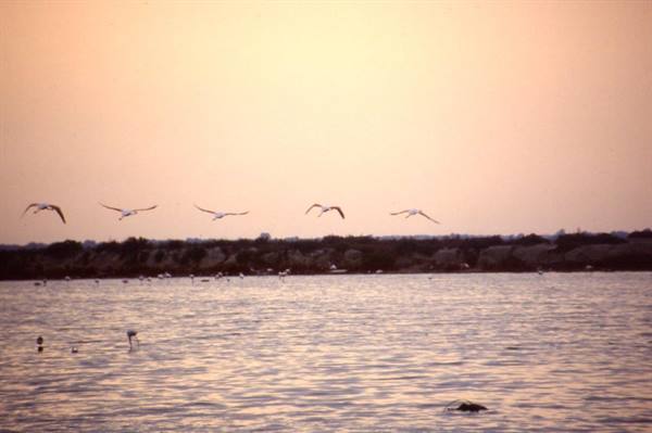 LE MARIES SUR MER