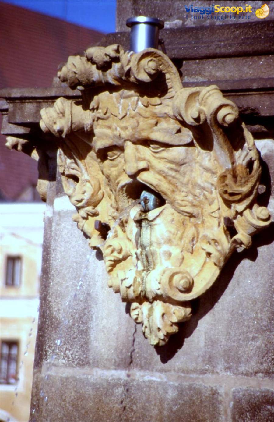 CESKE DUBEJOVICE