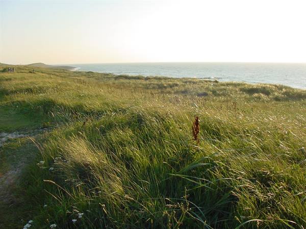WESTCHAPELLE - LA SPIAGGIA