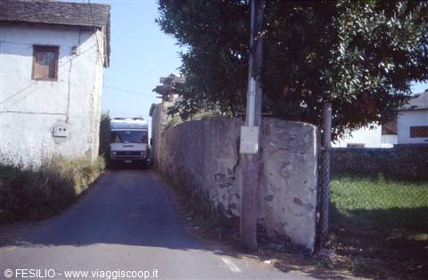CAPO BUSTO