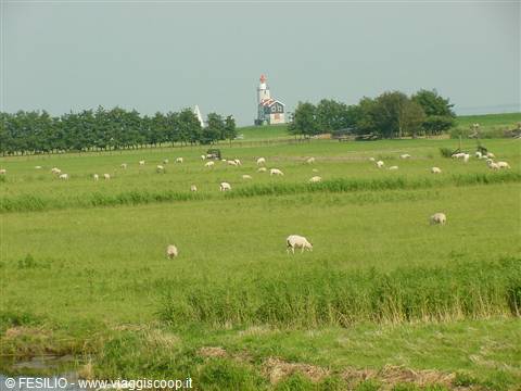 MARKEN