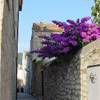 RAB CROAZIA 