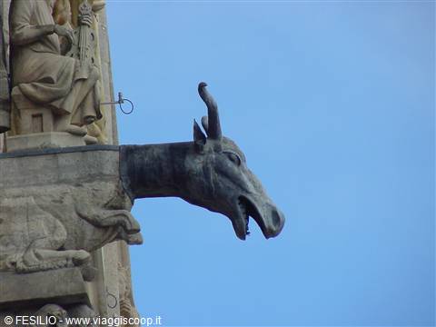 REIMS