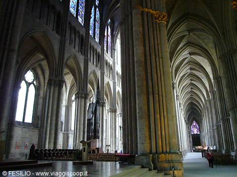 REIMS