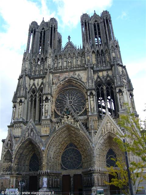REIMS