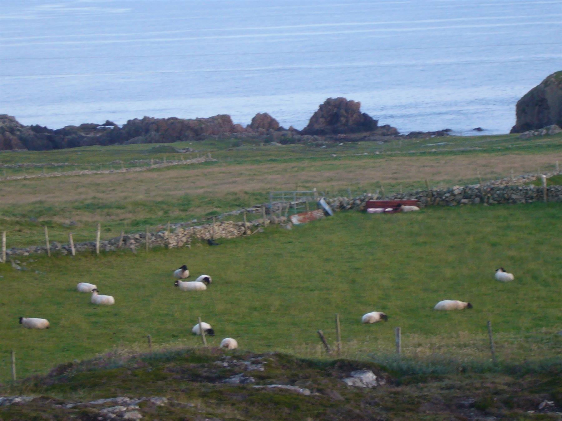 MALIN HEAD