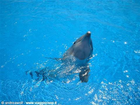 Acquapark