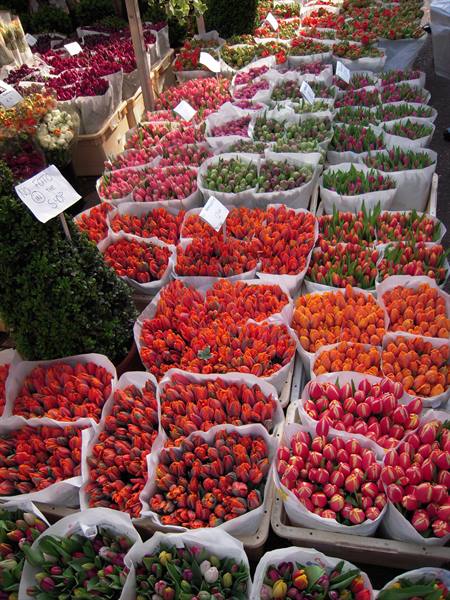 Mercato dei fiori