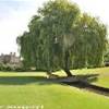 Il meraviglioso giardino di Leeds Castle REGNO UNITO 