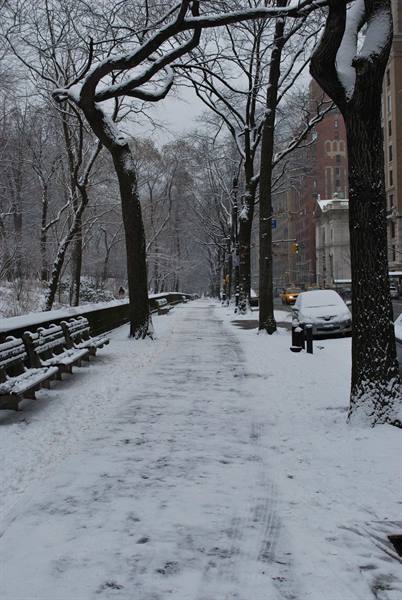 Central Park sotto la neve