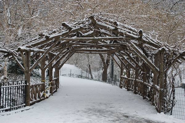 Central Park sotto la neve