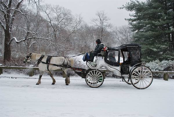 Romantica nevicata a NYC