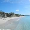 Water Cay (isola delle Iguane) ISOLE TURKS E CAICOS 